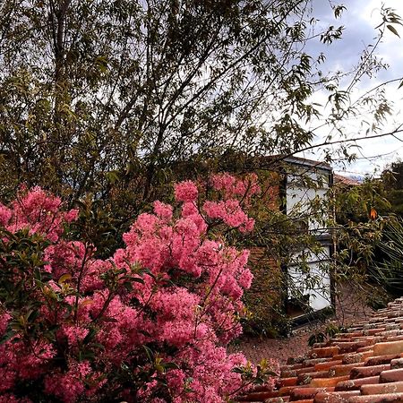 Casa Lloret Cuenca Kültér fotó