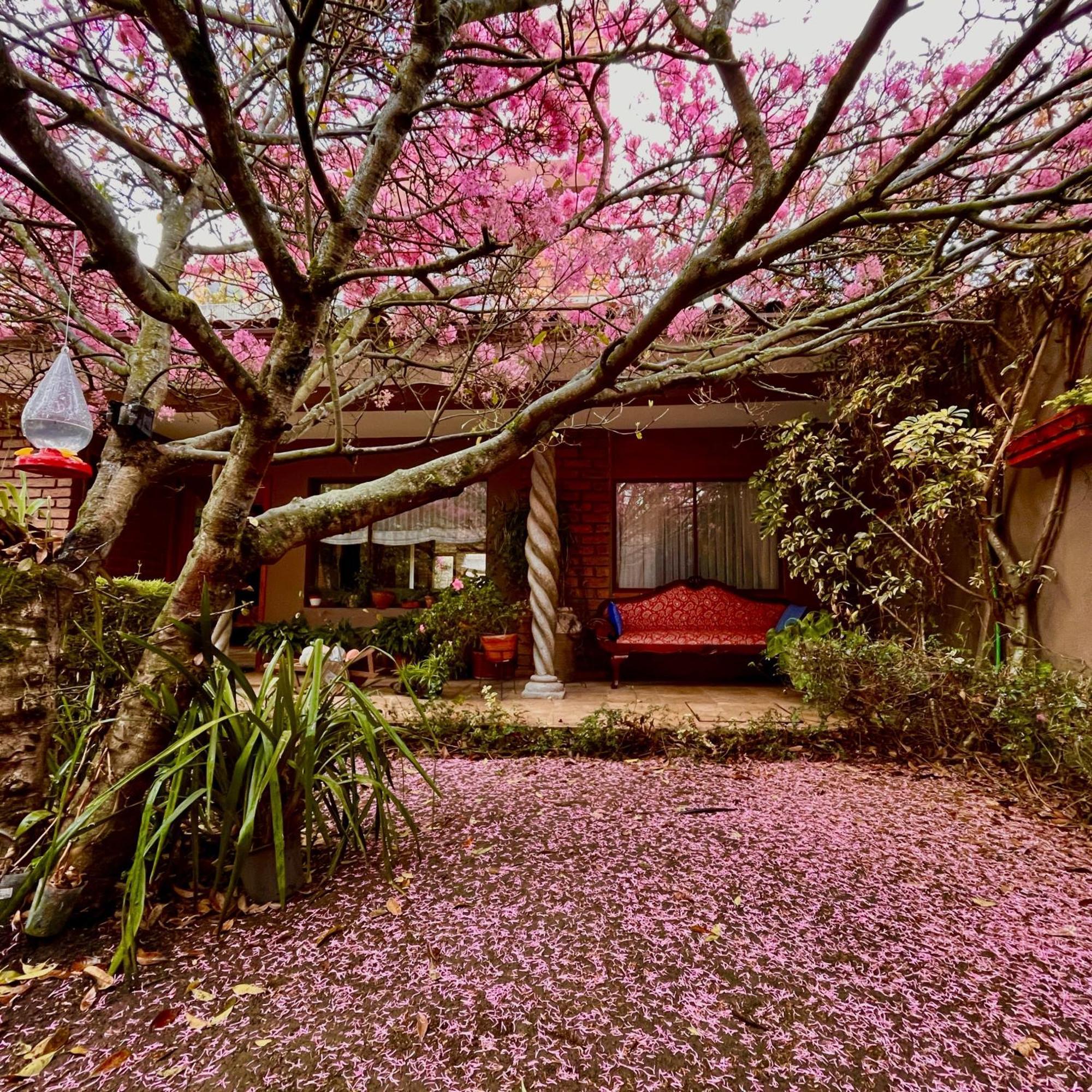 Casa Lloret Cuenca Kültér fotó